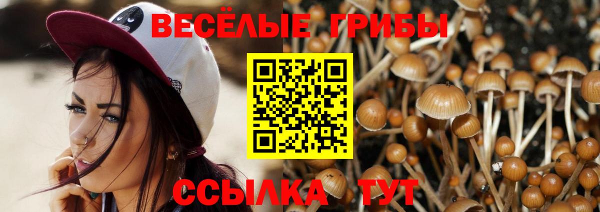 Галлюциногенные грибы мухоморы  Вход с VPN  Ревда 